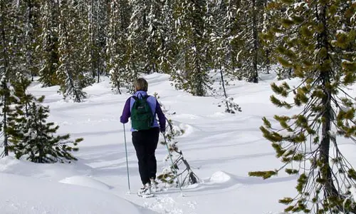 snow_shoeing_cross_country_snow_winter