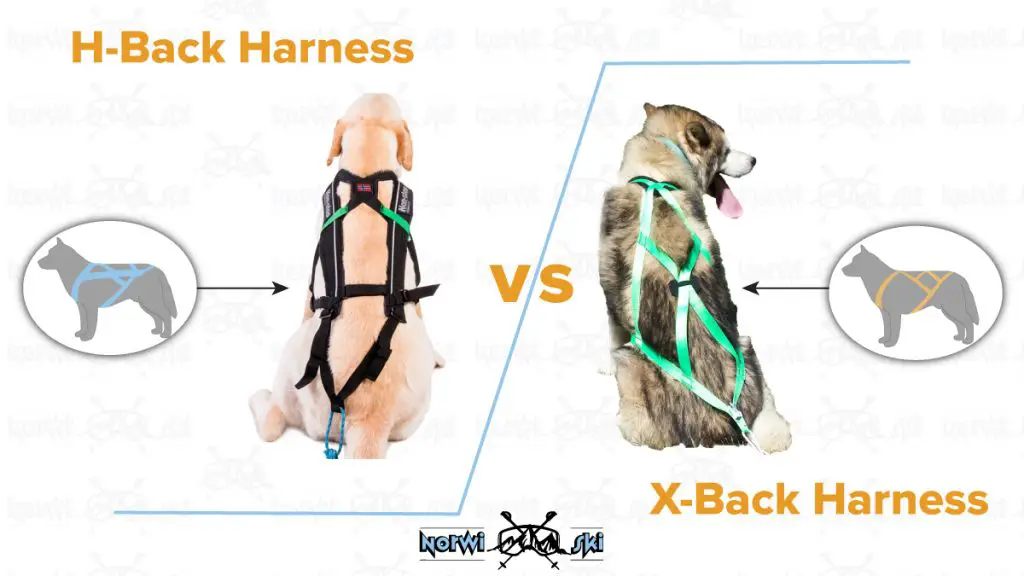 H-Back Harness vs X-Back Harness