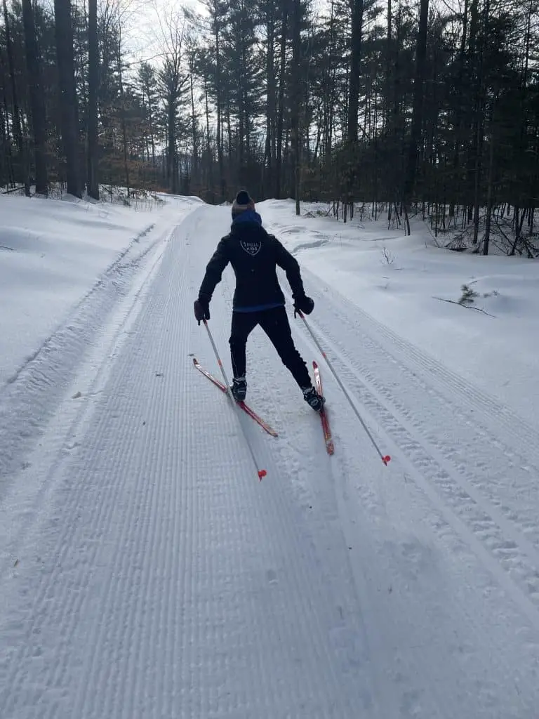 Cross-country skier at in the woods at Carter's XC Ski Center