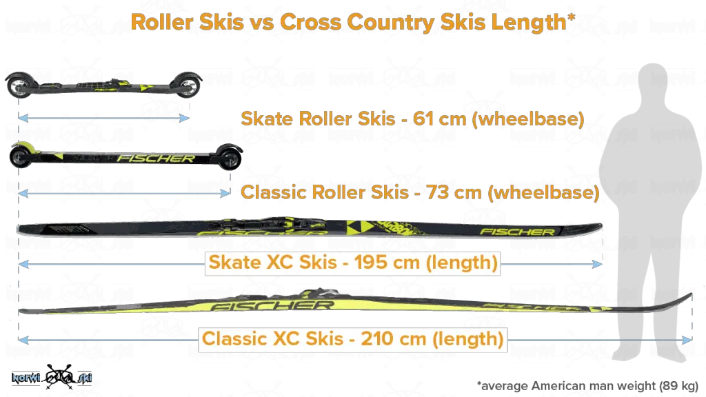 roller skis vs cross country skis length