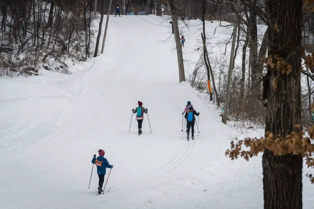 Cross-Country Skiers at Theo With Park in Minneapolis, MN
