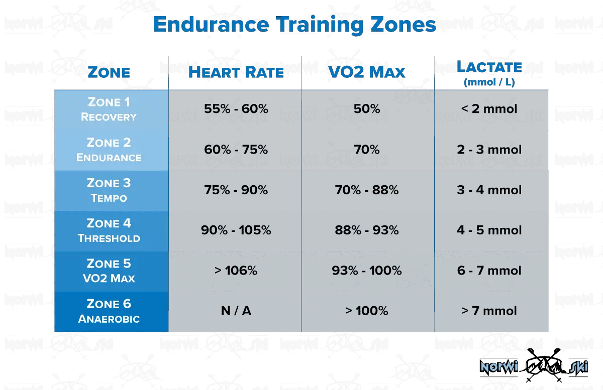Endurance Training Zones and VO2 Max