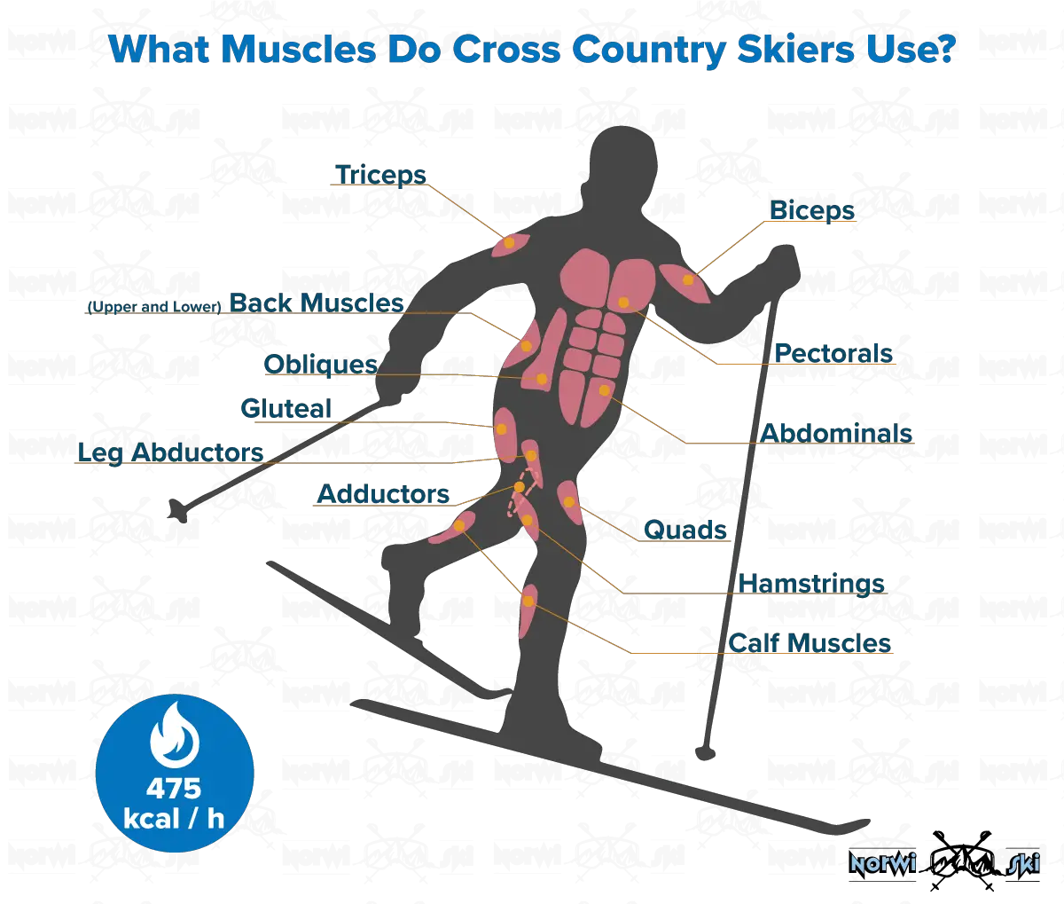 What Muscles Do Cross Country Skiers Use
